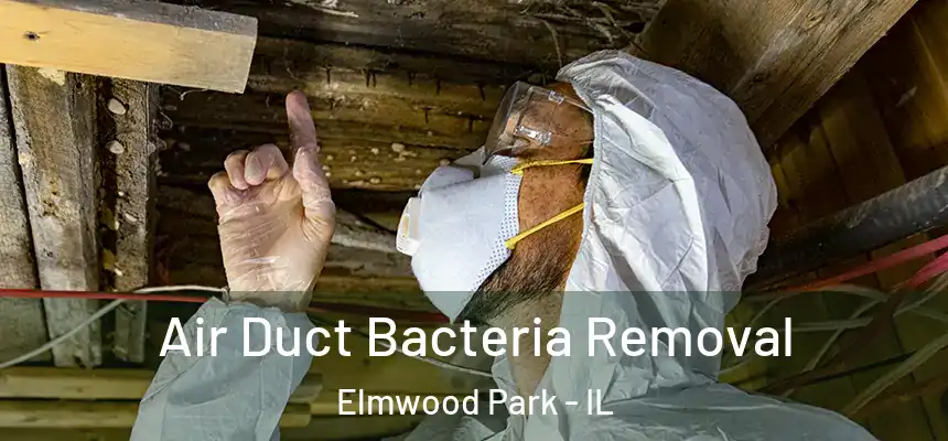  Air Duct Bacteria Removal Elmwood Park - IL