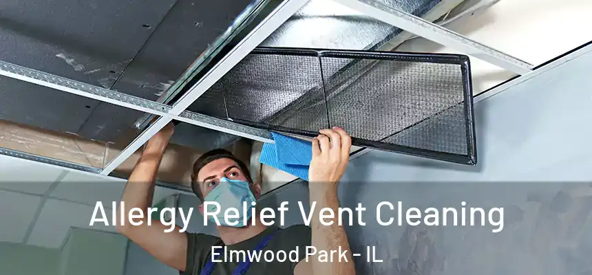  Allergy Relief Vent Cleaning Elmwood Park - IL