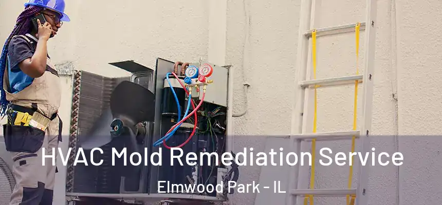  HVAC Mold Remediation Service Elmwood Park - IL