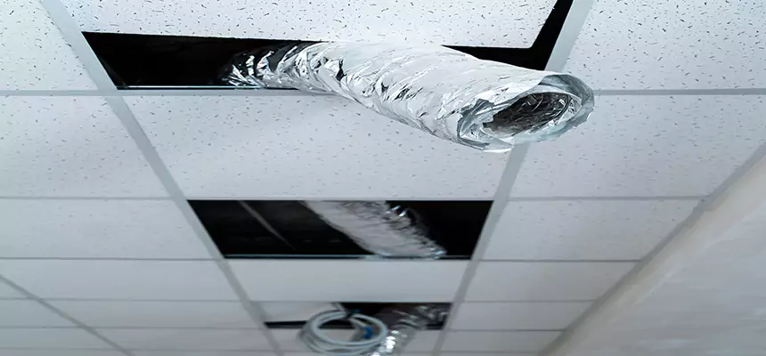 Our Air Duct Pet Hair Removal Services in Elmwood Park, IL