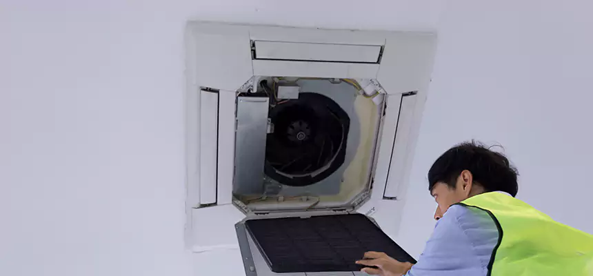 Our Dryer Vent Sanitization Service Services in Elmwood Park, IL
