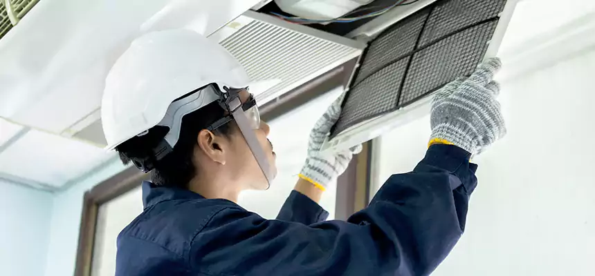 Our Mold & Mildew Removal from Air Ducts Services in Elmwood Park, IL