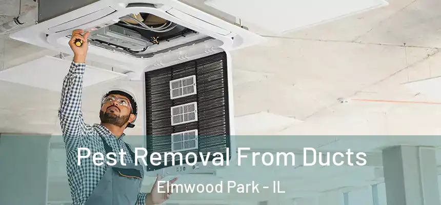  Pest Removal From Ducts Elmwood Park - IL