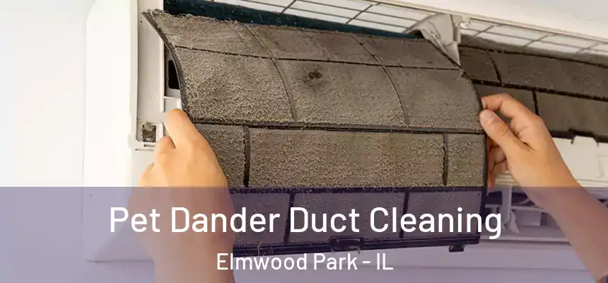 Pet Dander Duct Cleaning Elmwood Park - IL