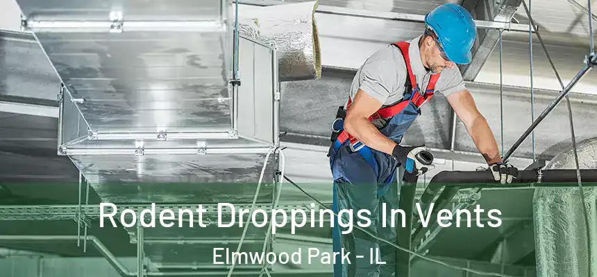  Rodent Droppings In Vents Elmwood Park - IL