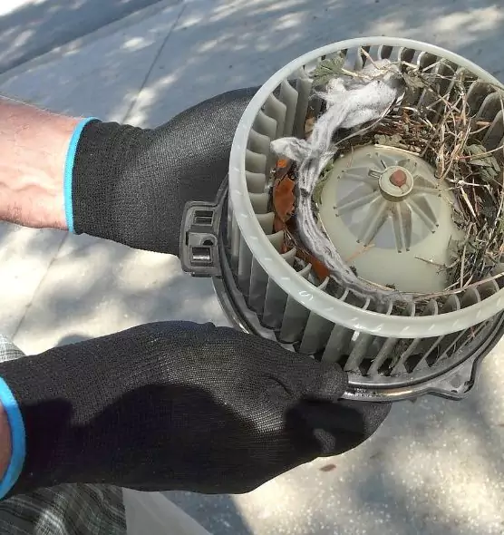 About Air Duct Mice Removal in Elmwood Park, IL