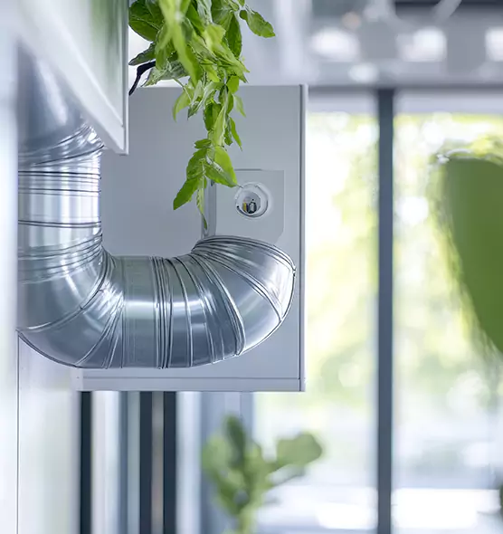 Professional Eco-Safe Dryer Vent Cleaning in Elmwood Park, IL