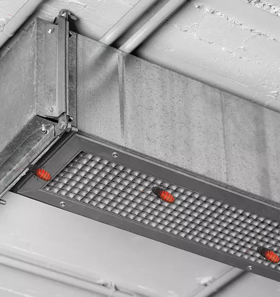 Affordable Insect Removal from Air Ducts in Elmwood Park, IL