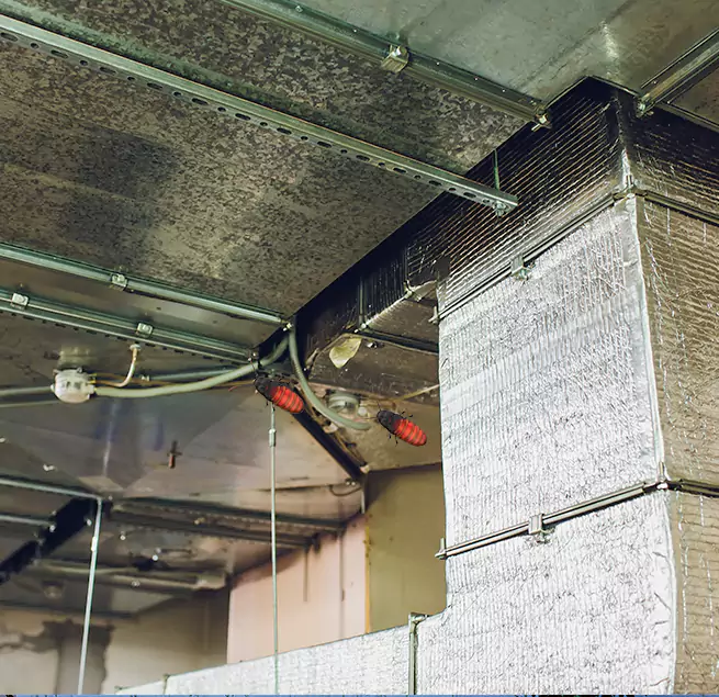 Why Homeowners & Businesses Trust Us in Elmwood Park, IL?