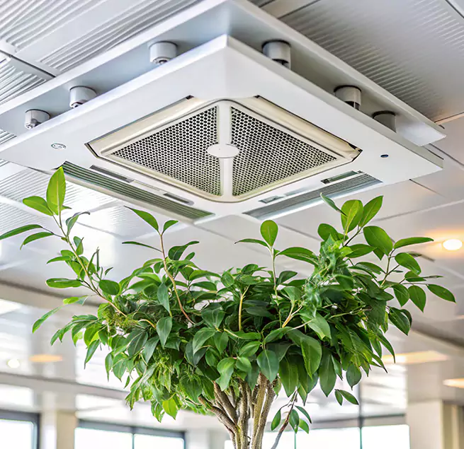 Why Homeowners & Businesses Trust Us in Elmwood Park, IL?