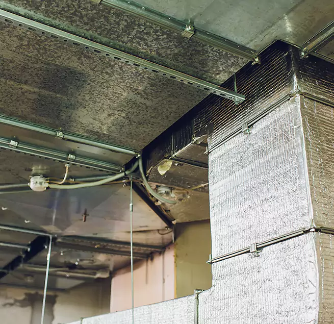 Why Homeowners & Businesses Trust Us in Elmwood Park, IL?